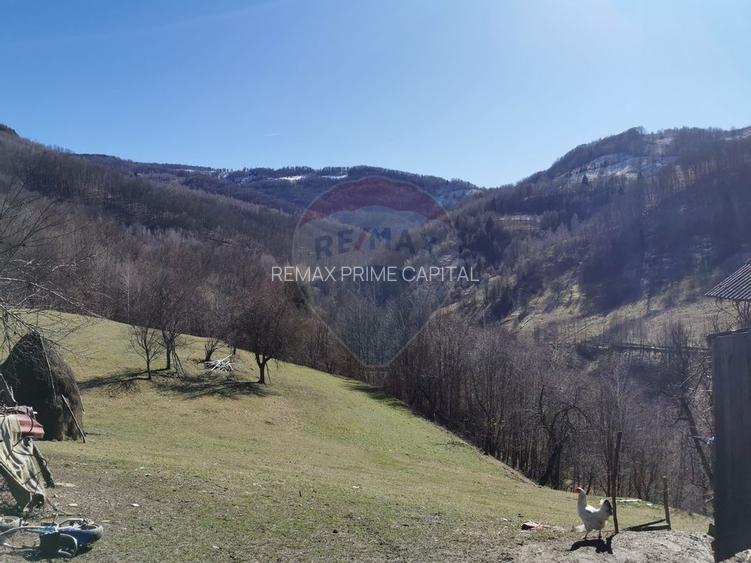 De vânzare teren intravilan 10,100 mp, cu anexă, Munteni - 4