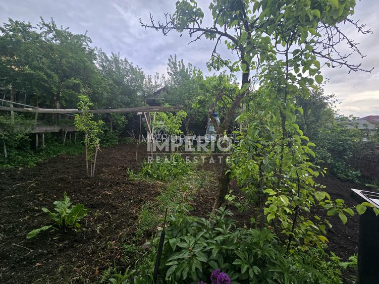 Casa individuala de vanzare | 477 mp teren | Dambul Rotund - 6