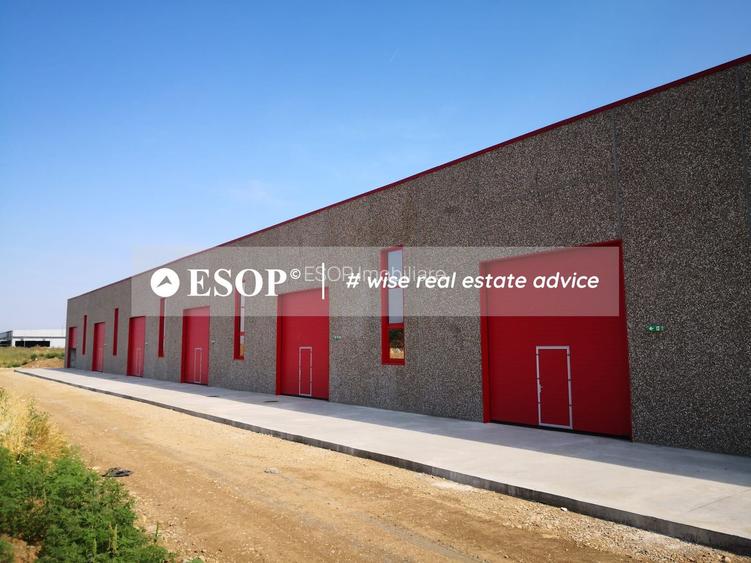 Hale industriale, parc modern, Rudeni, Chitila, Ilfov- ID 15462 - 11