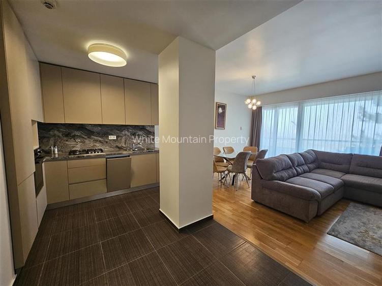 Apartament cu doua camere de inchiriat in Bellevue Residence - 21