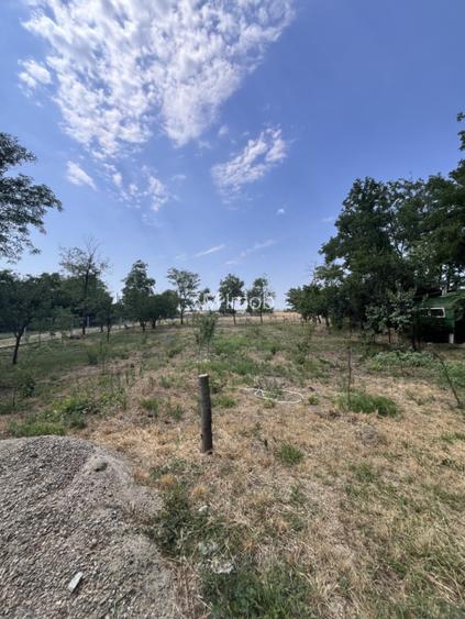 Casa de vacanta - Munteni Buzau - Jutetul Ialomita - Curte 2000mp  - 13