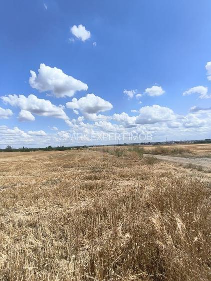 TEREN COCOSESESTI//INTRAVILAN - 8