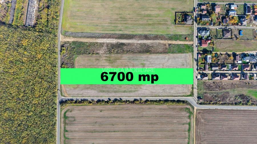 Dragomiresti Deal teren 6700 mp, padurea Ileana, utilitati, asfalt - 4