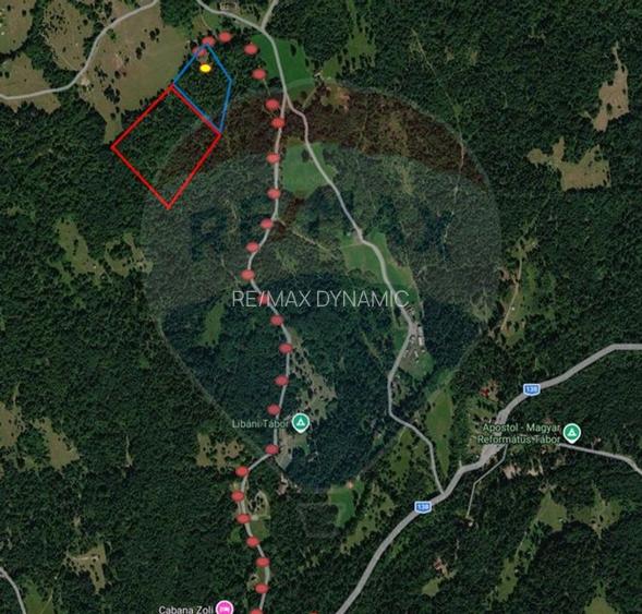 Vânzare teren extravilan, 4 ha pădure, zona turistică Liban, Harghita - 3