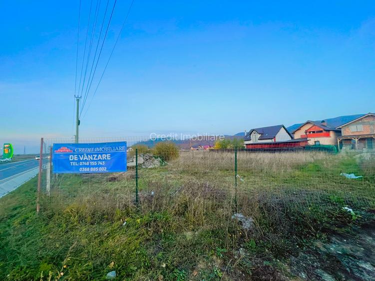 Teren DN73 Rasnov 1441mp! - 3