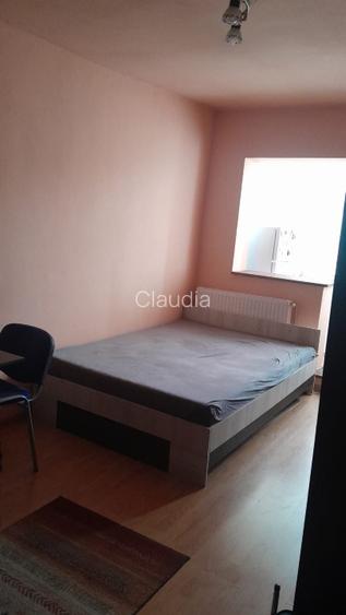 Apartament 1 camera zona Freidorf - 2