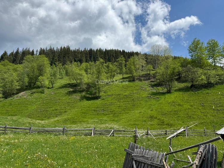 Vânzare teren 3,5 ha cu casă și anexe, Breaza de Sus, Suceava (malul Moldovei) - 7