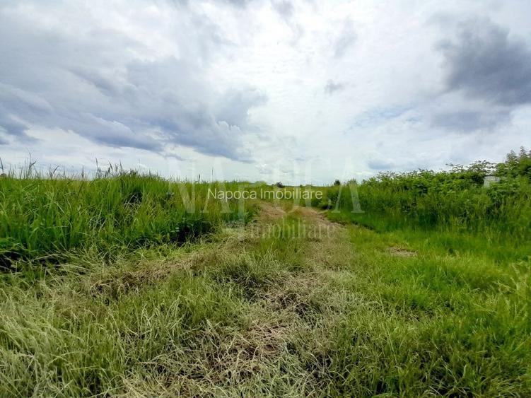 Teren intravilan pentru constructii de vanzare in Cheriu - 3