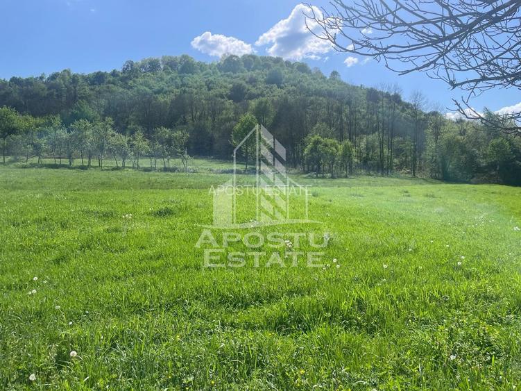 Teren intravilan, partial imprejmuit, eligibil grant- Pojoga, com. Zam - 2