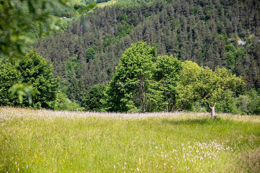 Teren intravilan - 1.050 mp în Bran cu utilitati – priveliște Bucegi - 5