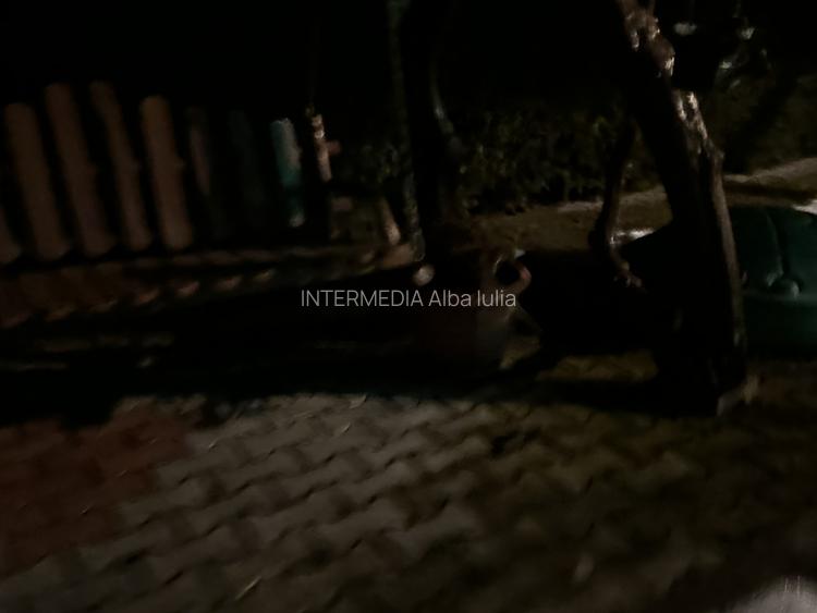 Casa P+M Zona Hotel CETATE 715 mp Teren Garaj Terase Piscina ideal Regim Hotelie - 6