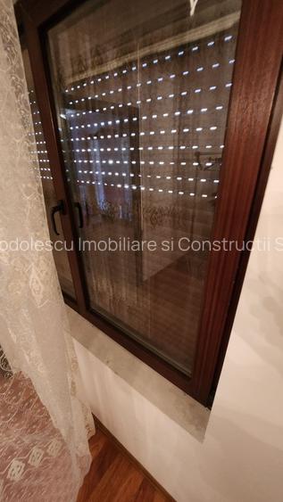 Casă in zona Iosefin - 23