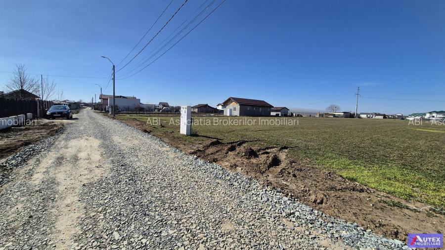 Teren de Casa 2480 mp cu utilitati- Oras Magurele - 6
