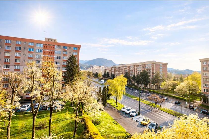 Ap. B-dul Victoriei Poziție excelentă - Vedere spre Tampa Comision 0% - 9