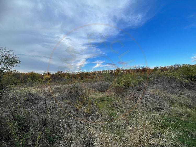 Teren intravilan 6975 mp front stradal 47.70 m in Mosoaia Arges si padure bonus - 12