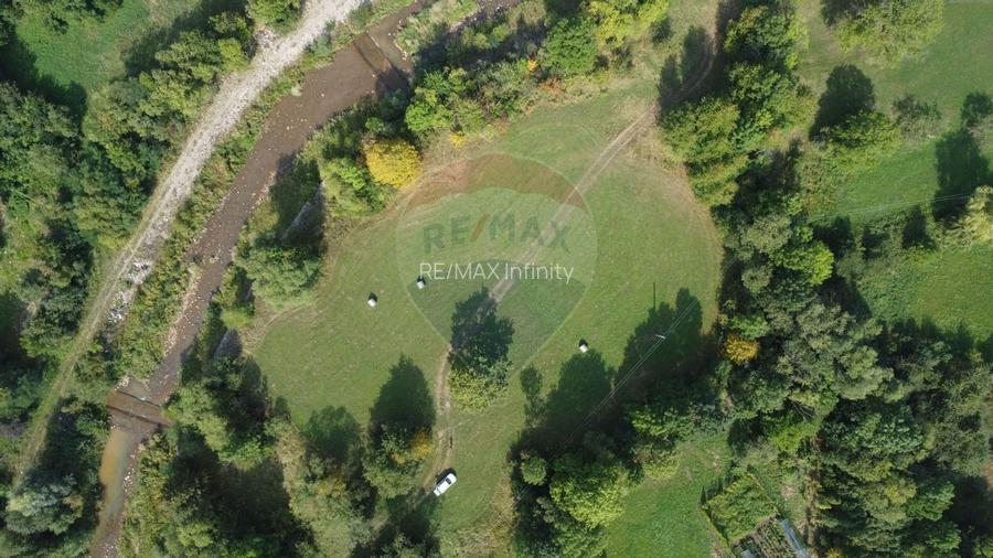 Teren 10.000 mp Calatele – Apuseni, langa rau, ideal investitie turism - 12