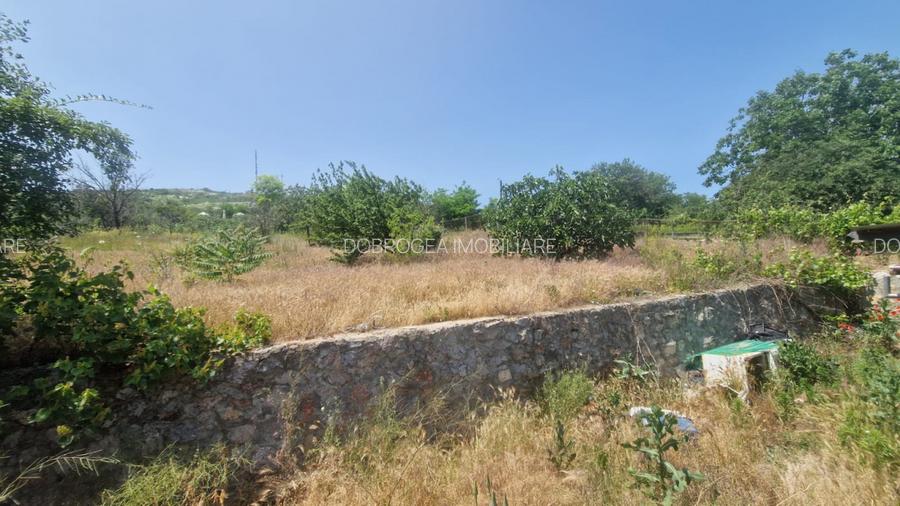  MAHMUDIA-TERENURI SI CASE - 8