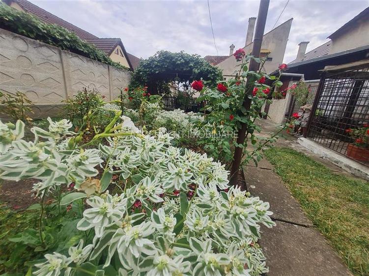 Poveste saseasca la umbra vitei de vie,cu crama,gradina flori,Central,Codlea - 12