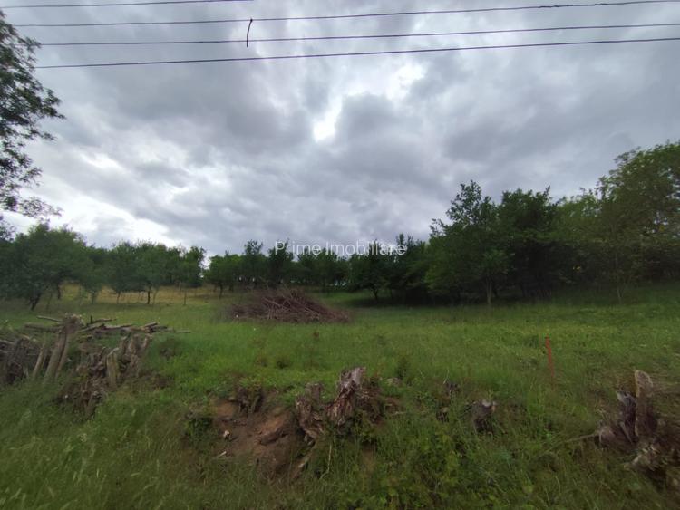 Teren intravilan de 1.900 mp, zona Oarda de Sus - 3