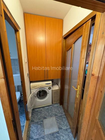 Apartament 2 camere, etajul 1, Grigorescu - 13