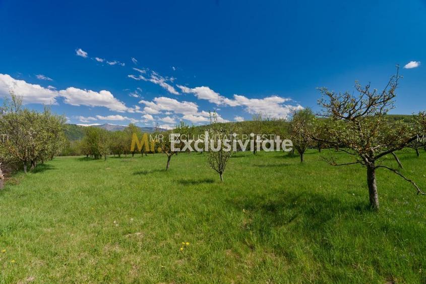 Casa Valea Mare Pravat (Campulung-Arges ) - farmec interbelic