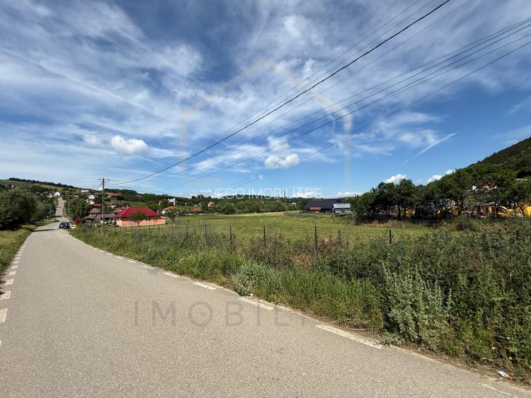 Teren intravilan, 1340 mp, front 62 mp, utilitati la parcela, in Mociu - 3