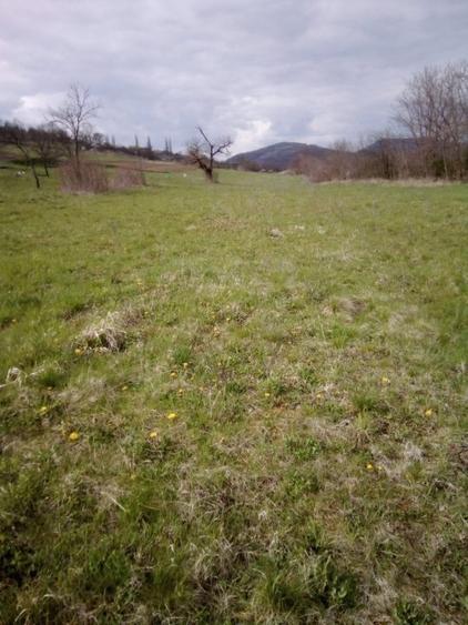 Teren superb in zona Geoagiu, Hunedoara