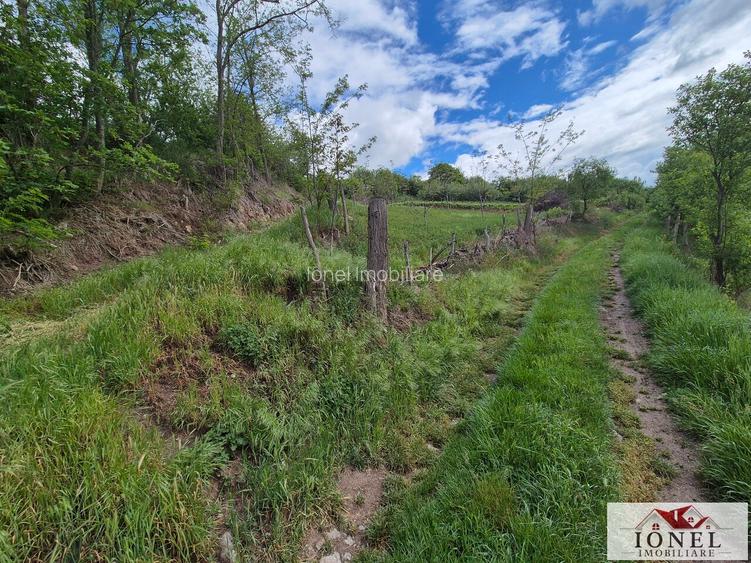 Teren intravilan de vanzare in Metes - Ampoita - 3