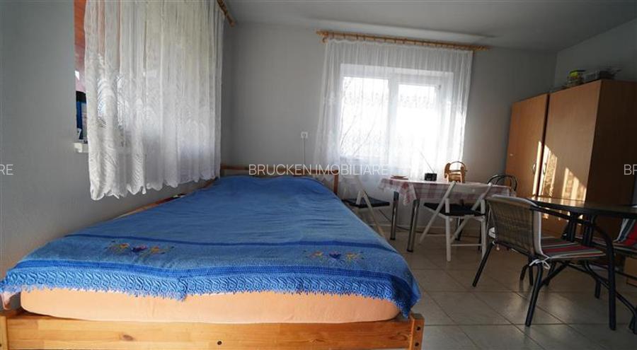 MICRO-FERMA + CASA IN VOIVOZI - BIHOR - 17