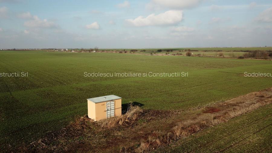 TERENURI INDUSTRIALE/COMERCIALE BECICHERECU MIC - TIMISOARA - 2