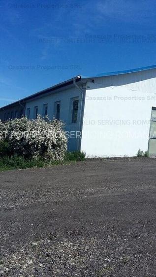 Spatiu industrial, Manoleasa, Botosani - 2