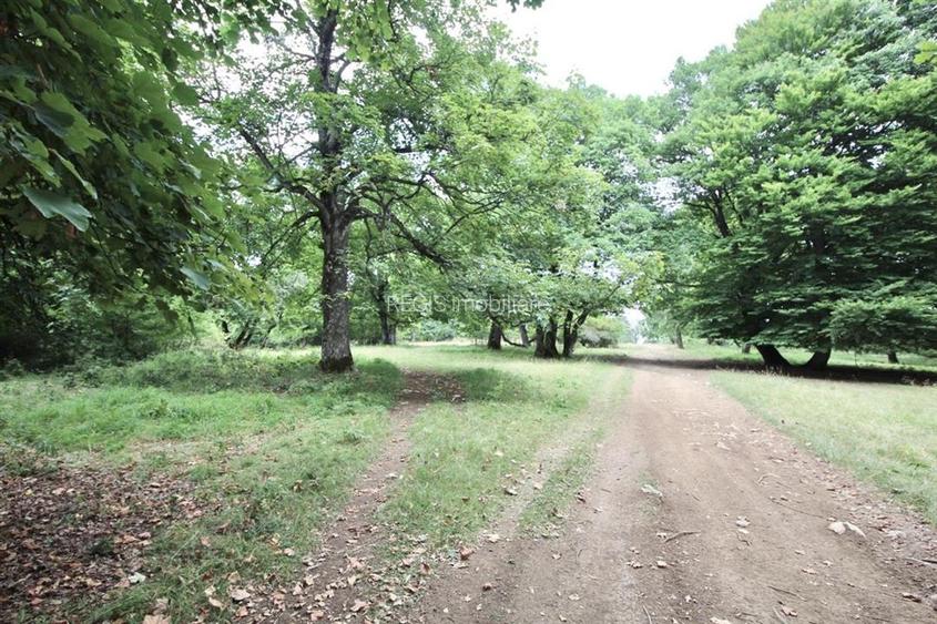 Teren de vanzare 4713 mp investitie | Poiana Brasov - 7