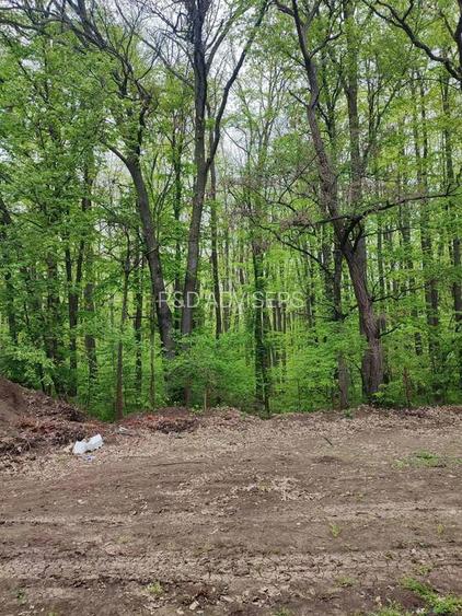 Apartament 4 Camere Iancu Nicolae | Gradina 264 mp | Vecin cu Padurea - 9