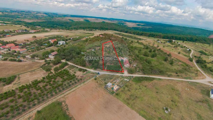 De vânzare Teren 3995mp intravilan Săldabagiu de Munte - 5