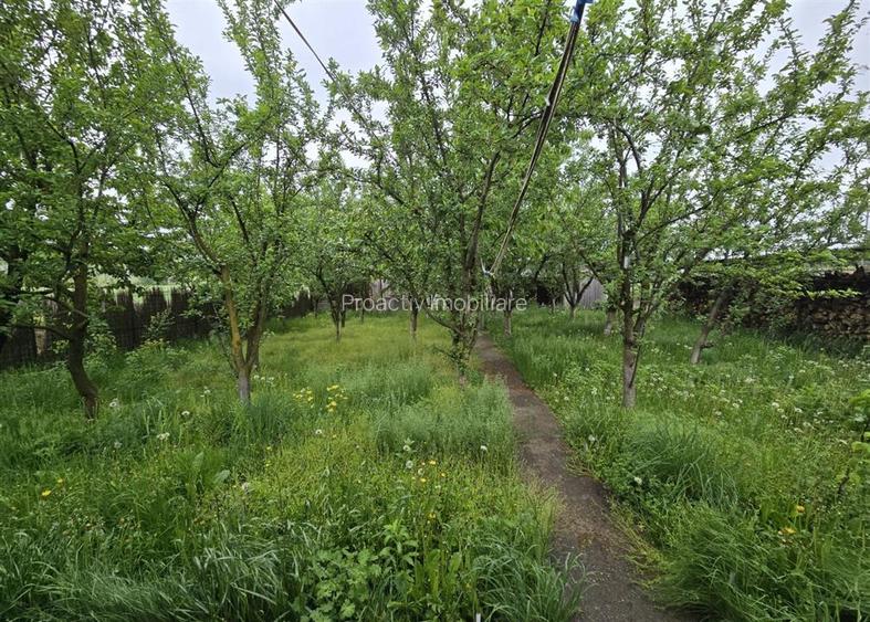 Cladire Multifunctionala 480 mp + 5000 mp Teren | Darabani | Ideal Business sau - 24