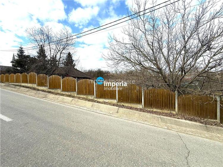 Teren intravilan 4800 mp, investitie,  utilitati complete, Dancas Miroslava - 5