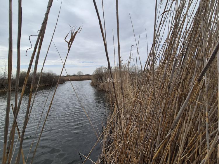 Izvorani - teren cu deschidere la lac - 2