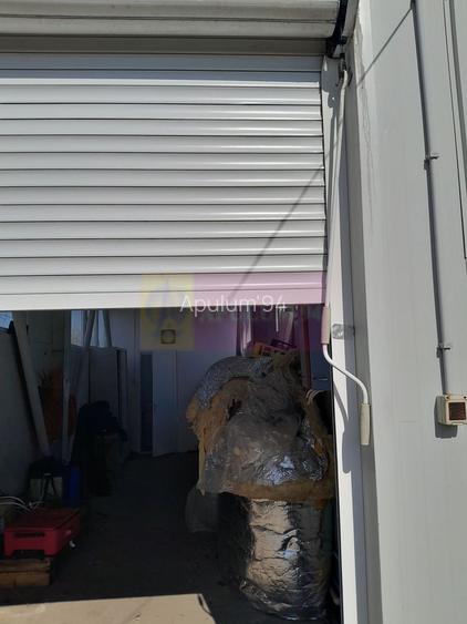 VANZARE TEREN 3100 MP - SAT ROSIORI (IL) - 7