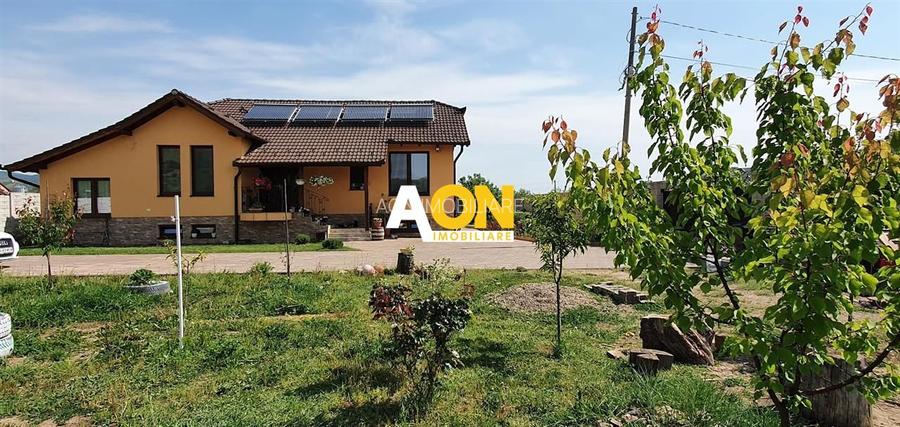 Casa parter+demisol, 1200 mp teren, pretabila pt 2 familii, Sard - 2