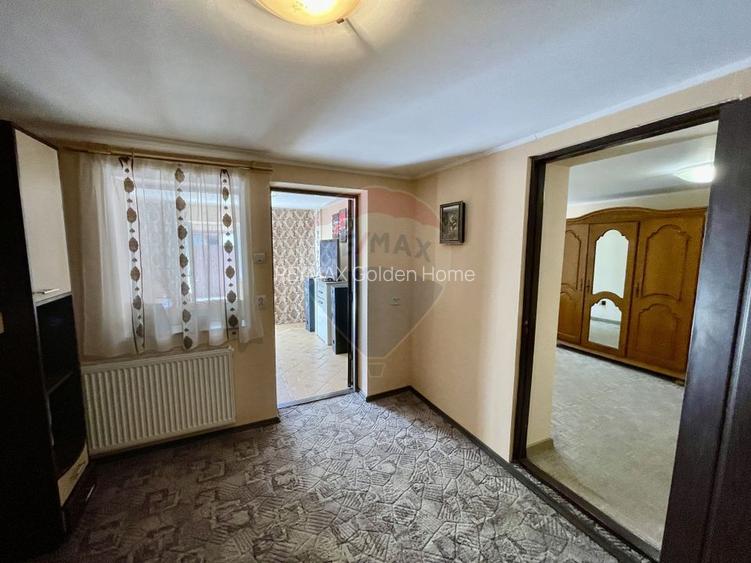 Casă Tifesti teren si vie - 13