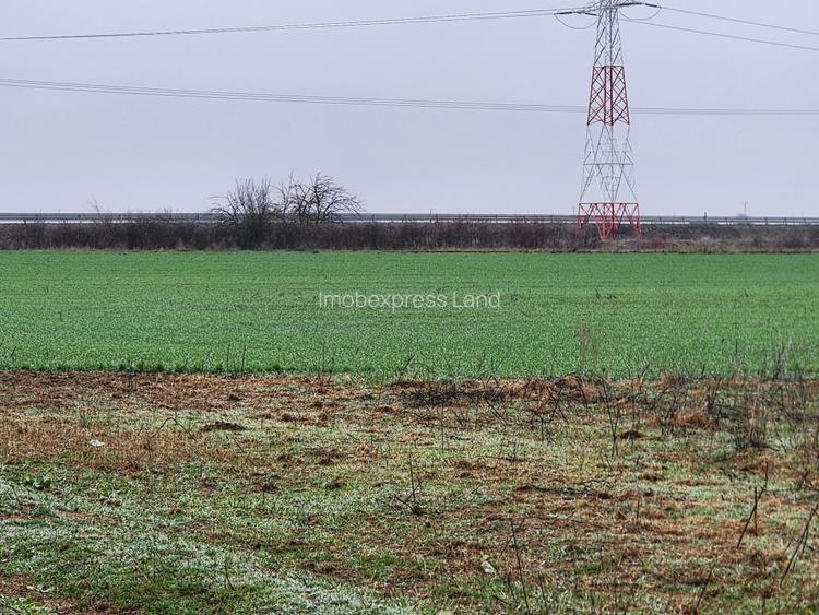 Vand teren agricol extravilan in Giroc  - 2