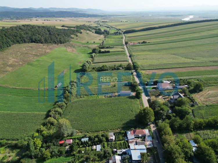 Teren intravilan de vânzare, Sat Bogdănști, Com. Traian - 7