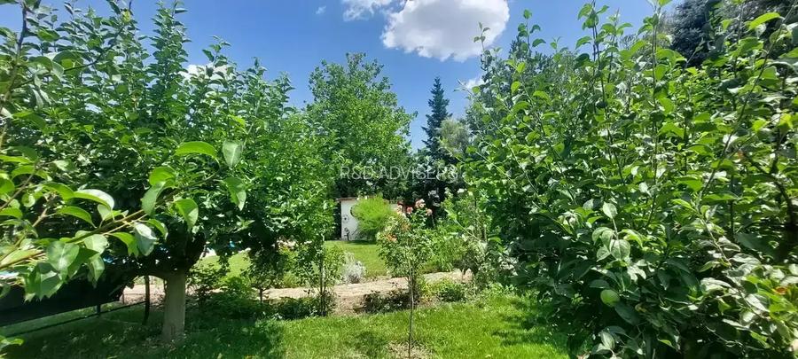 Vila cu 8 Camere Corbeanca | Curte 2300mp | Piscina | Semineu | Sauna - 9