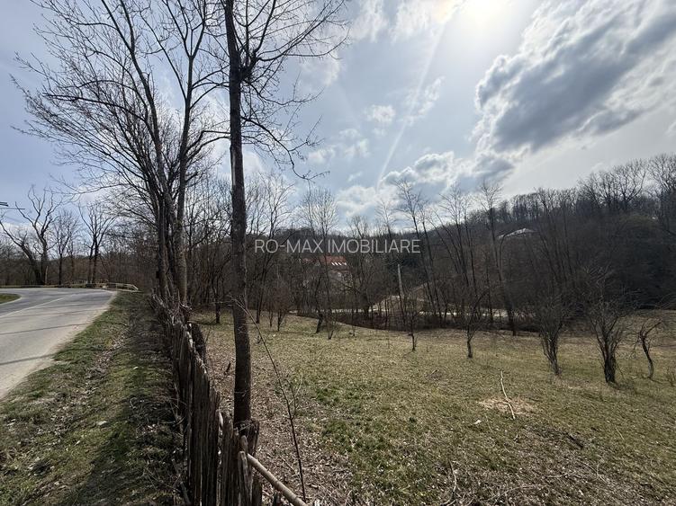 Teren intravilan la asfalt 2100 mp deschidere 21 mp la asfalt! - 4