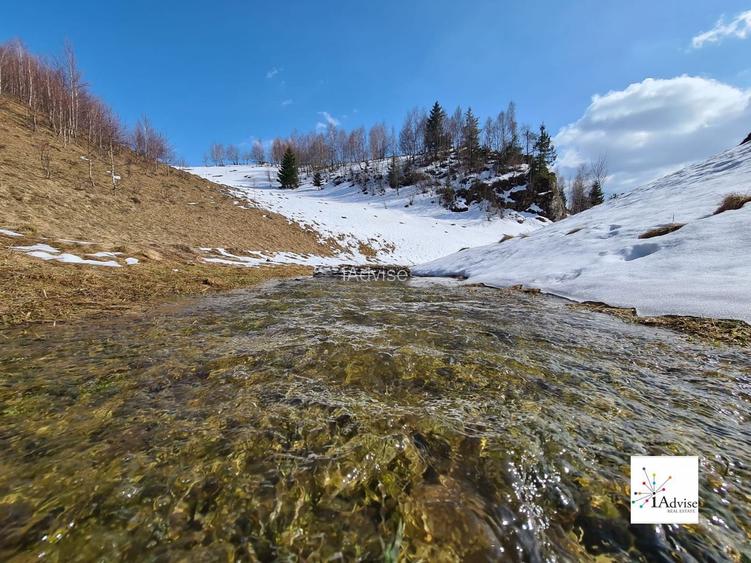 Teren De Vanzare In Sirnea - 38