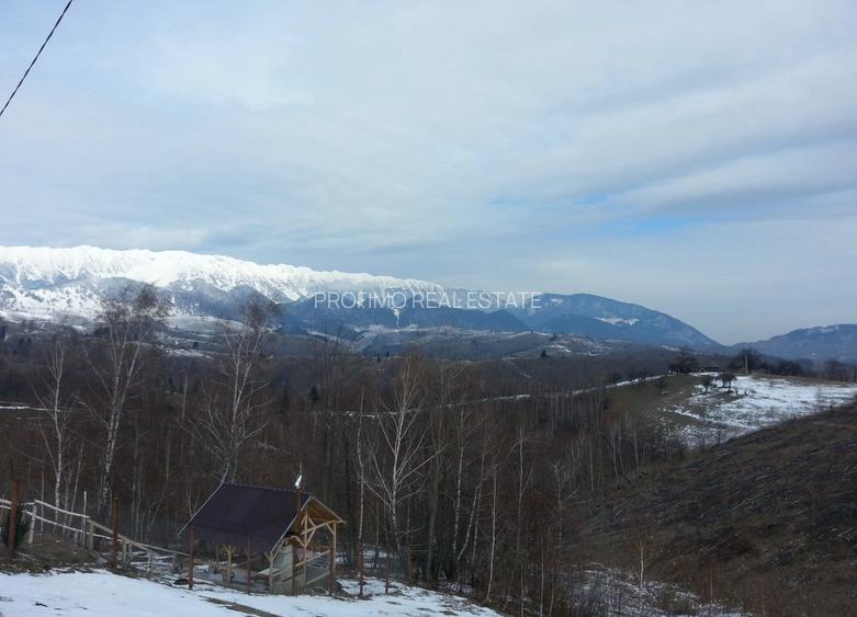 Moeciu, Drumul Carului, teren 3750 mp, 75000 euro - 9