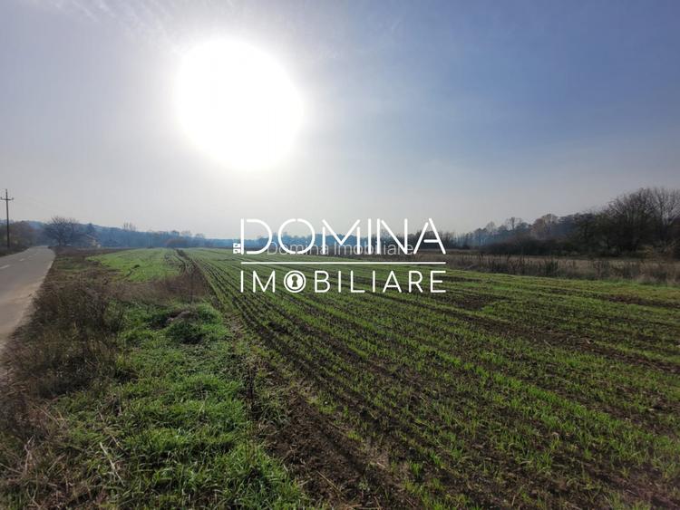 Vânzare teren intravilan - 2518 mp - strada Amurgului - Ursați - 6