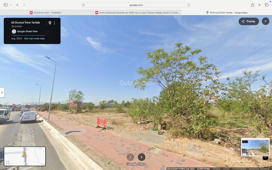 Drumul Intre Tarlale 176-186 Total:12461  mp - 9