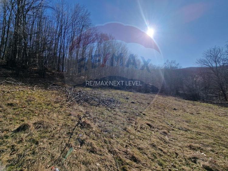 Teren de Vânzare în Pâncești (Sascut) - 5