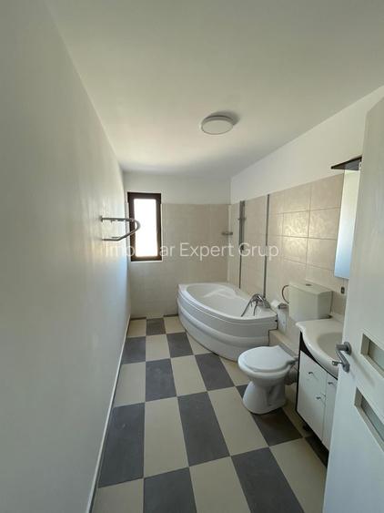 Hala 595 mp + teren 1500 mp Frumusani ( stradal ) - 11